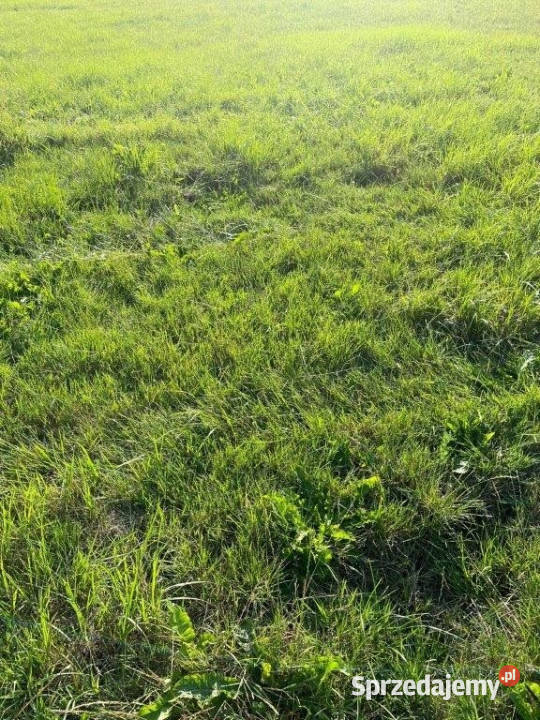 Do sprzedaży działka Sarbinowo 1000m2