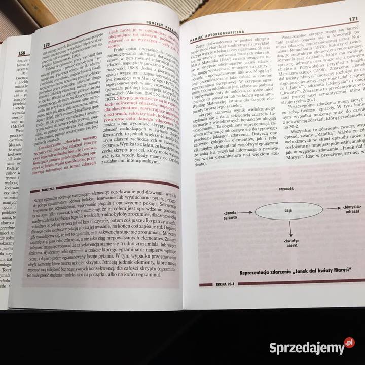 J Strelau Psychologia tom 2 Warszawa