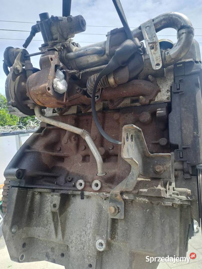 Dacia Renault Nissan 15 DCi silnik kompletny Jastrzębie-Zdrój