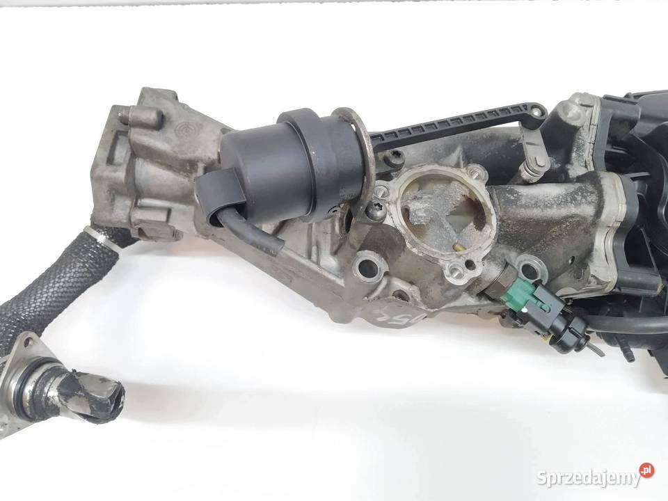 CHŁODNICA SPALIN 55562824 20 CDTI Opel Insignia Rok produkcji 2009