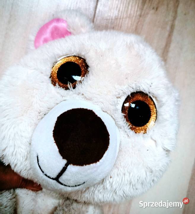 Miś duże brokatowe oczy Katowice