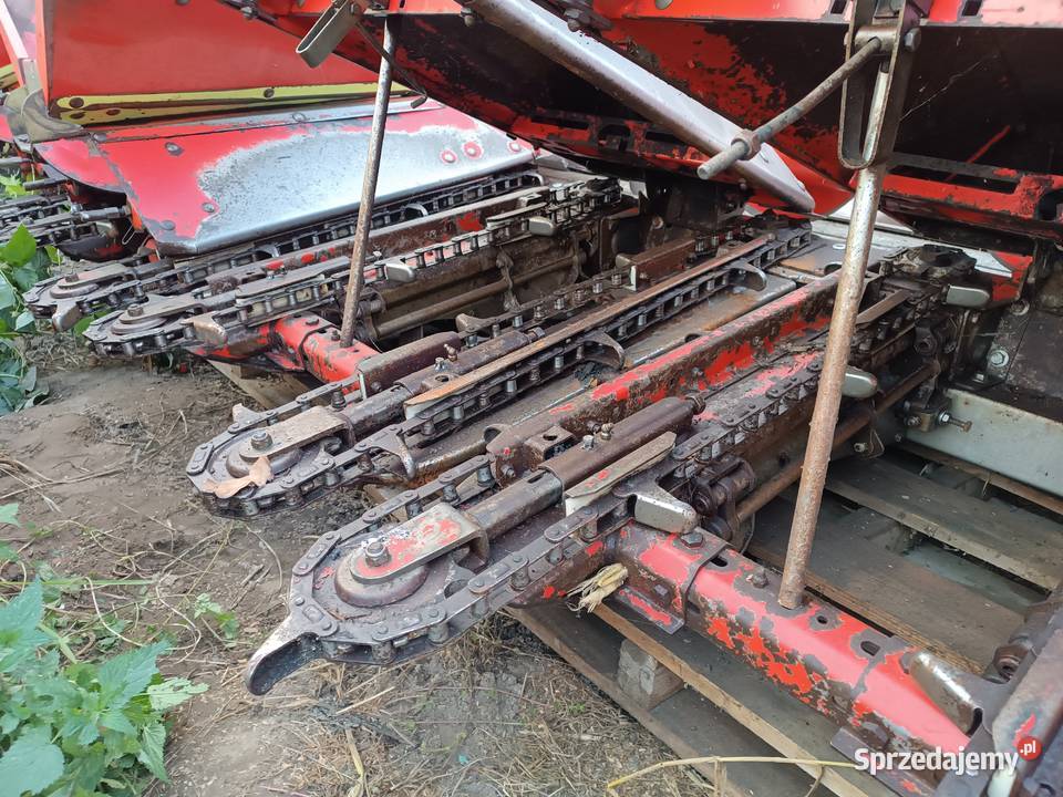 PRZYSTAWKA DO KUKURYDZY OLIMAC DRAGO 4 Kozierogi