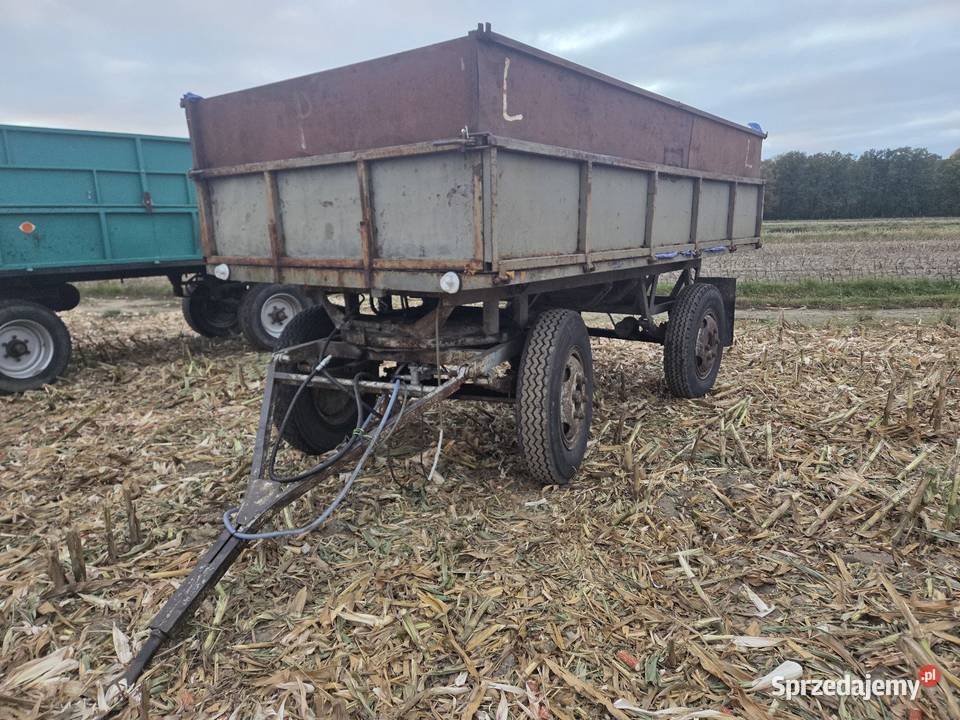 Autosan D44 wielkopolskie Ślesin