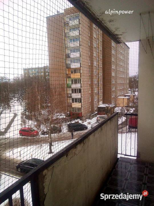 Siatka kota montaż BEZINWAZYJNY Warszawa Siatki usługi dla zwierząt