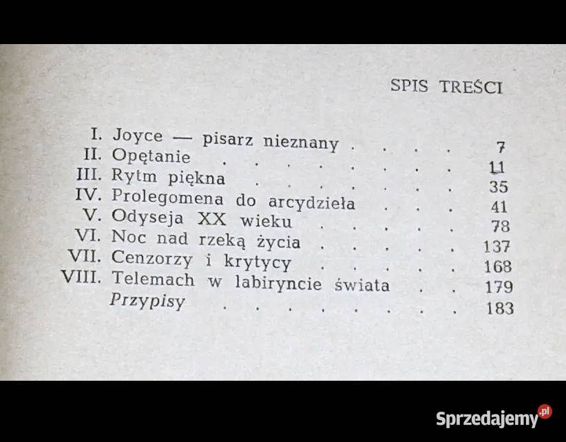 Telemach w labiryncie świata O twórczości Jamesa miękka lubelskie Chełm sprzedam