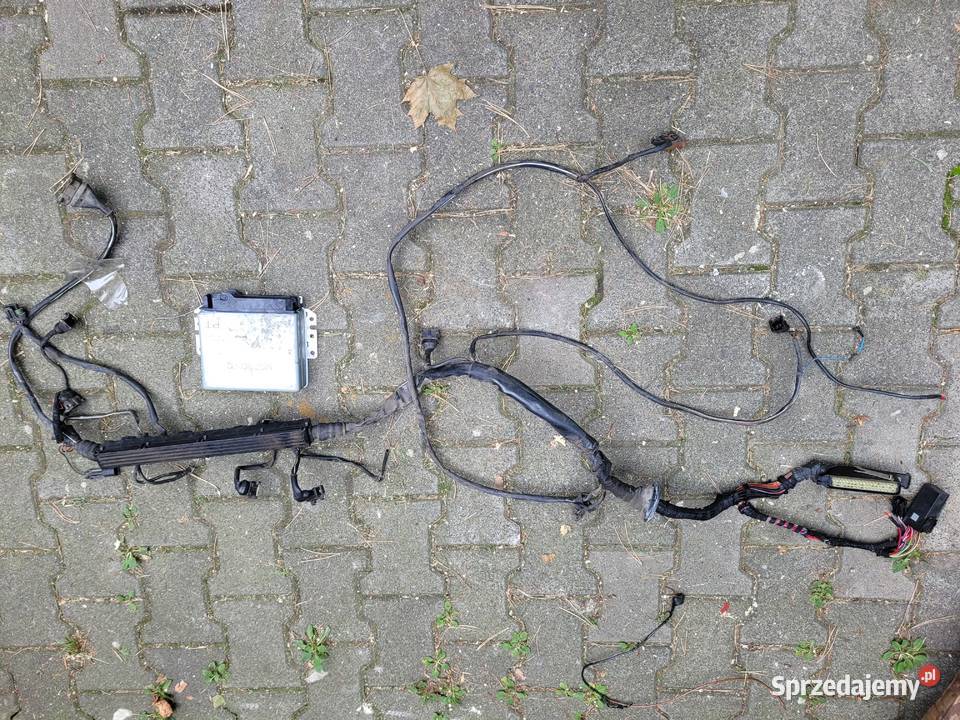 komputer wiązka c20xe motronic 28 calibra vectra śląskie