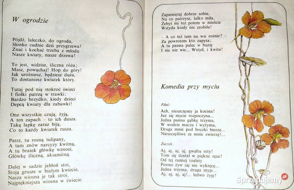 Co słonko widziało Maria Konopnicka miękka Chełm