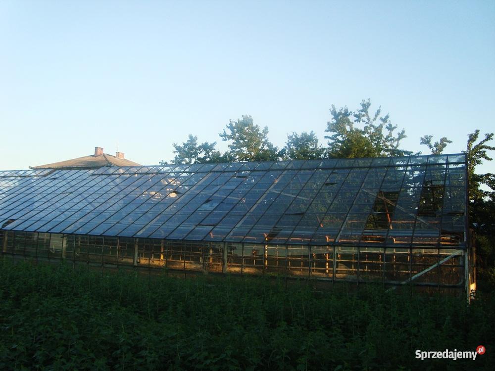 szklarnię do rozbiórki Wierzbica-Kolonia