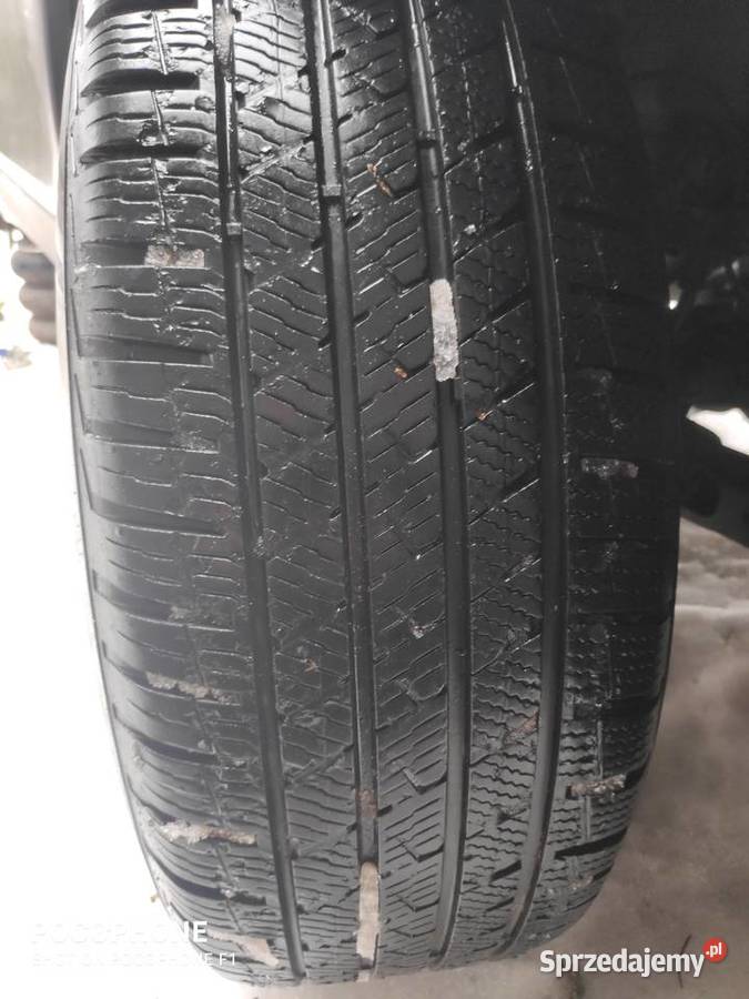 VREDESTEIN opony wielosezonowe 2156017 2 Izabelin