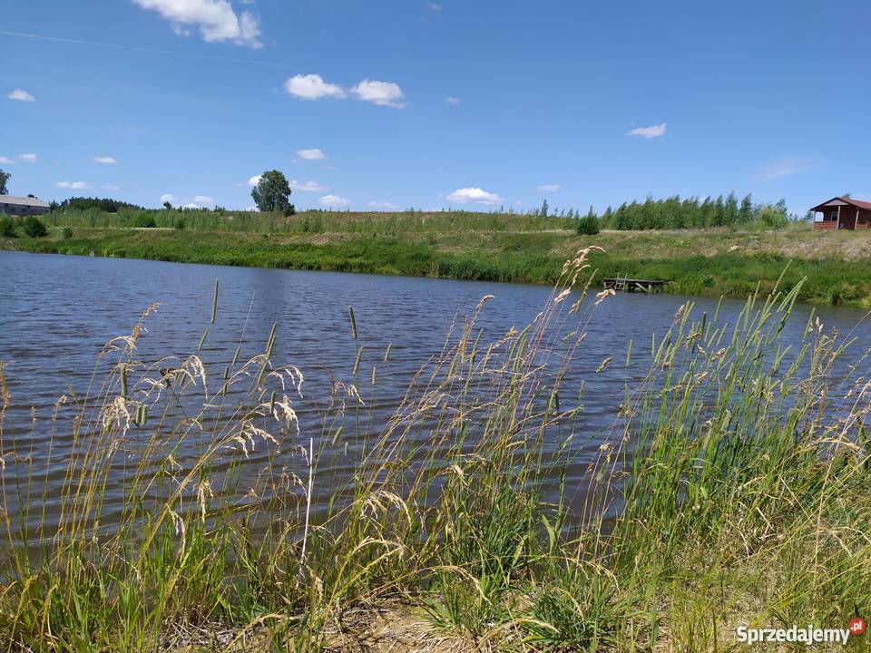Duża działka ze stawem w okolicach Mławy mały Mława sprzedam
