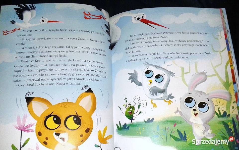 Zamieszanie na leśnej polanie czyli nowe Chełm