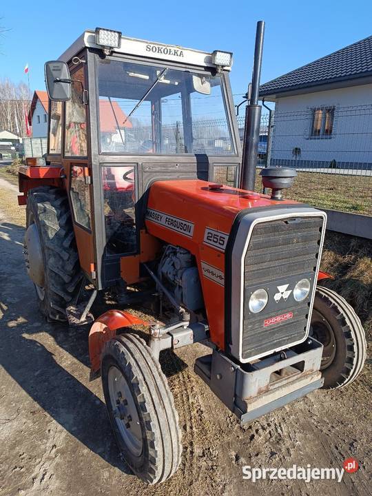 Massey Ferguson 255 podkarpackie Brzóza Królewska