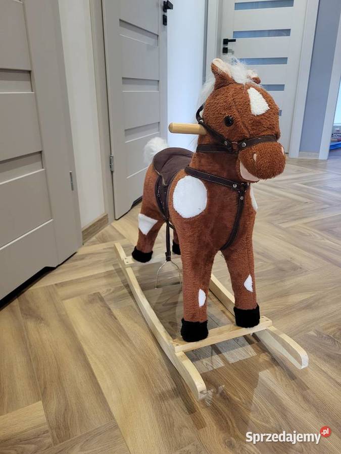 Konik na biegunach grający Postękalice