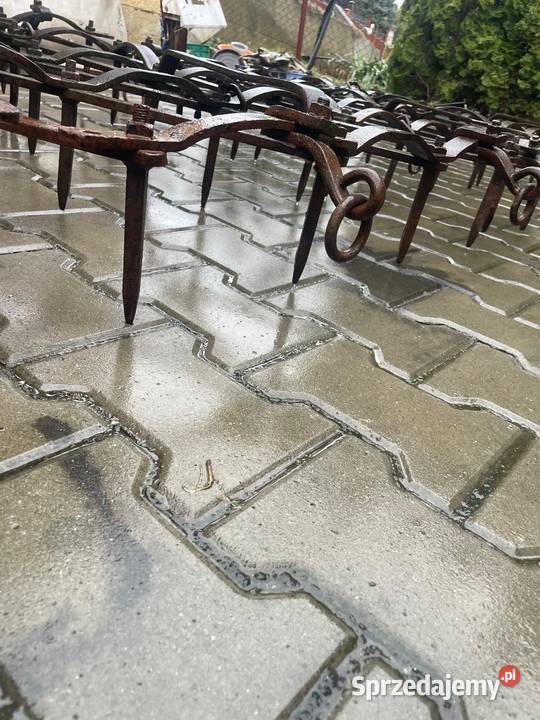 Brony polowe zębate Łącko