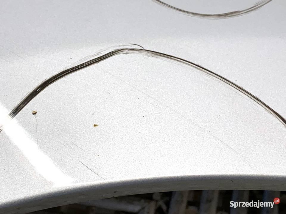 BŁOTNIK PRAWY PRZÓD RENAULT SCENIC III Minivan osobowe