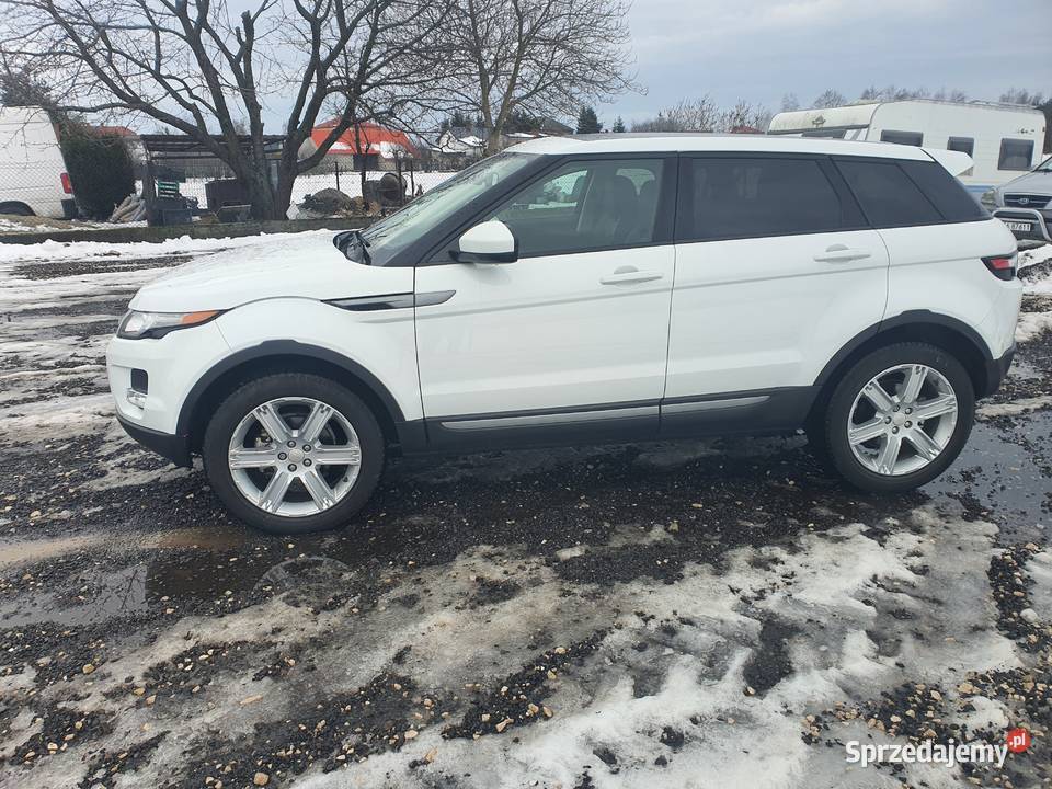 LAND ROVER nieuszkodzony Łęg Tarnowski