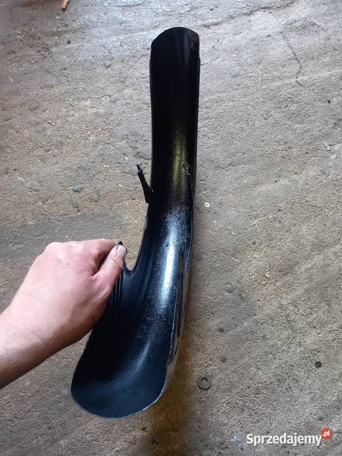 Blotnik zak rys Sokołów Podlaski