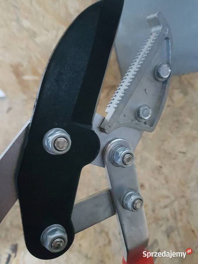 TELESKOPOWE NOŻYCE SEKATOR DO GAŁĘZI ŻYWOPŁOTU Dom i Ogród wielkopolskie Głogowa