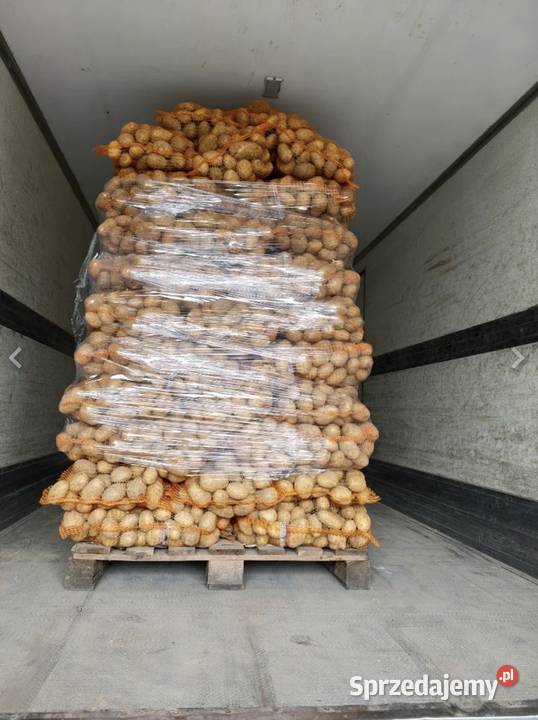 Ziemniaki soraya Rośliny okopowe Sułoszowa sprzedam