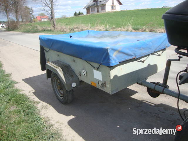 Przyczepka lekka Saris Koteże sprzedam