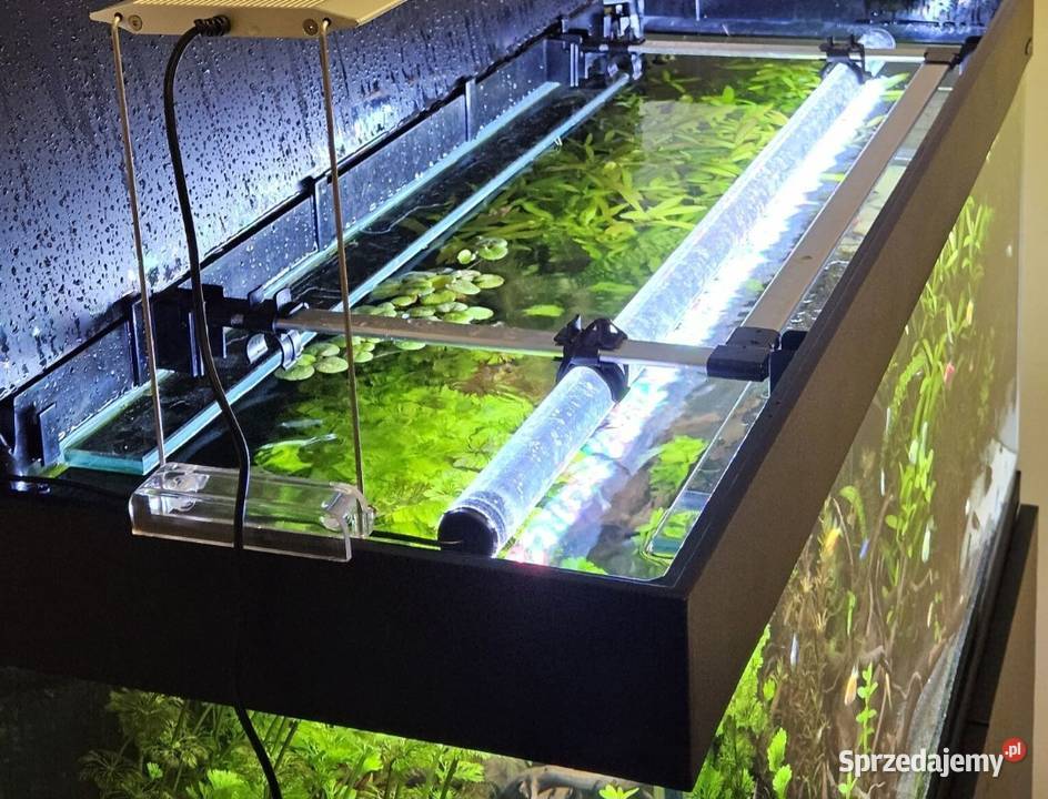 Lampa akwarium 100 37w wrgb Aquled grow led full Miechów