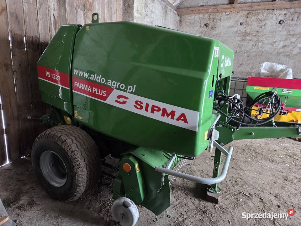 Sprzedam prase Sipma 1221 mazowieckie Ostrołęka