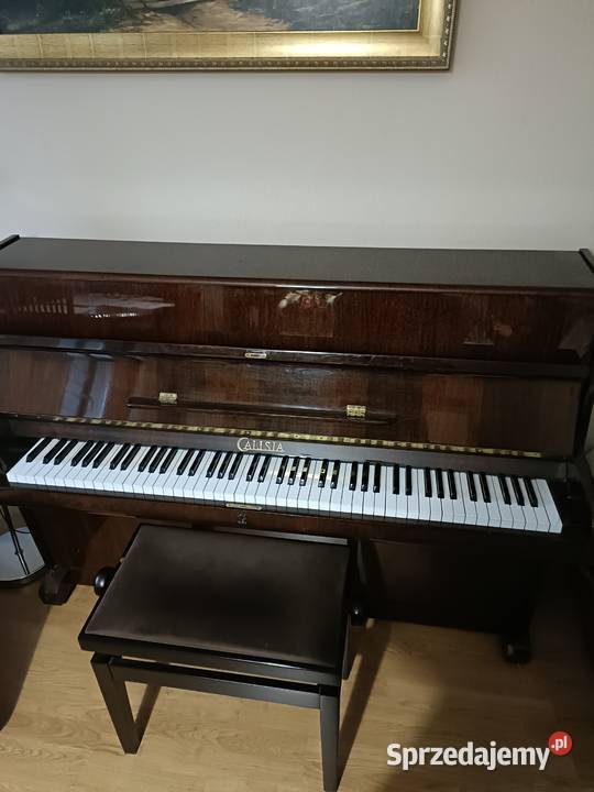 Sprzedam pianino Calisia Instrumenty klawiszowe i MIDI