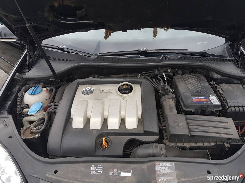 VW Golf V 19tdi 105 zadbany alufelgi Poznań