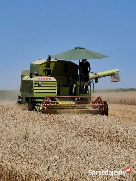 Kombajn CLAAS Corsar małopolskie Kalina Mała