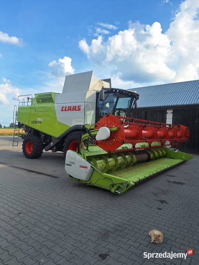 claas lexion 750 Płoniawy-Bramura sprzedam
