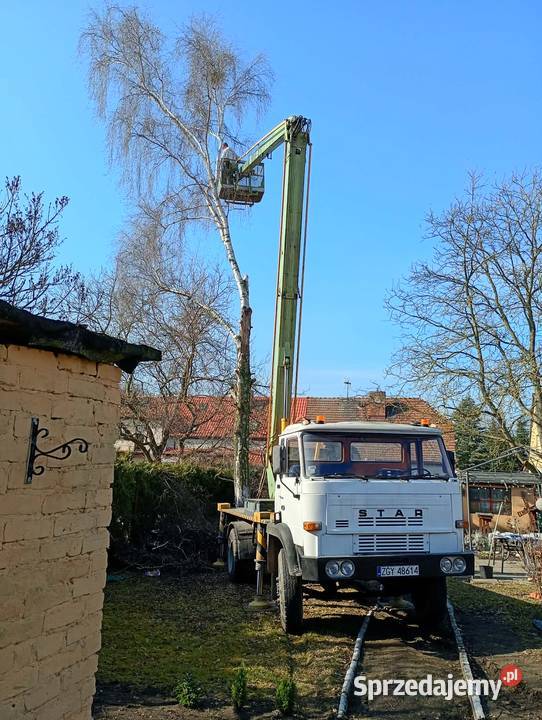 Sprzedam podnośnik p184h aktualny udt iresus 350kg Goleniów
