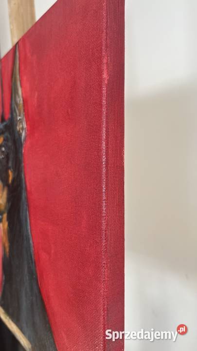 Obraz olejny Doberman 30x40 ręcznie malowany Świebodzin