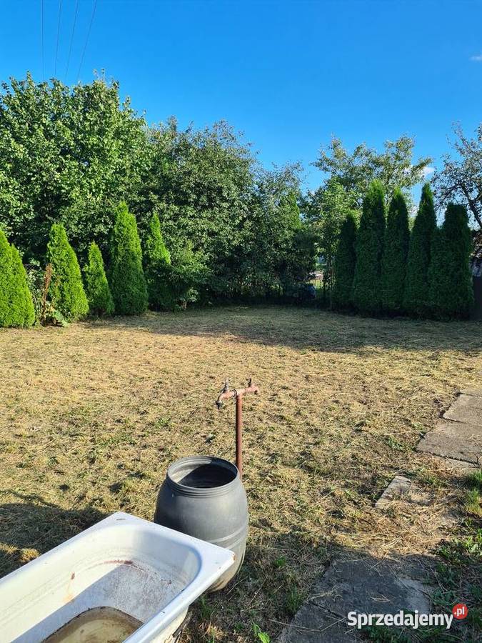 Działka ROD im J Kilińskiego w Staszowie siatka Staszów