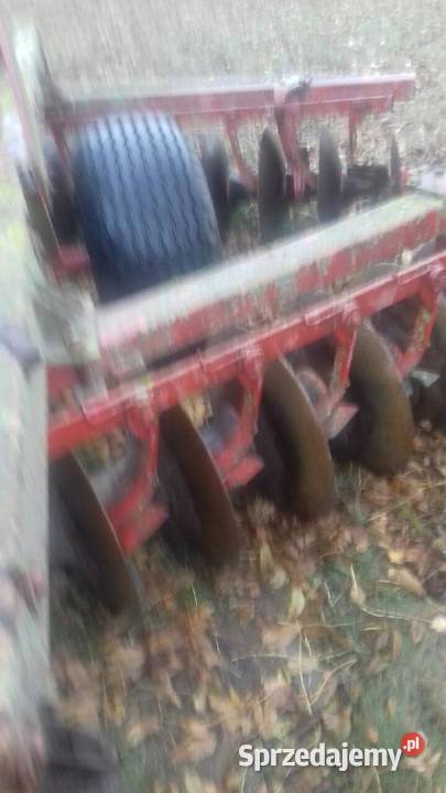 Okazja Brony Zawady Dworskie