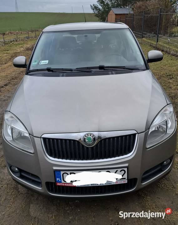 Skoda Fabia Pszczółki
