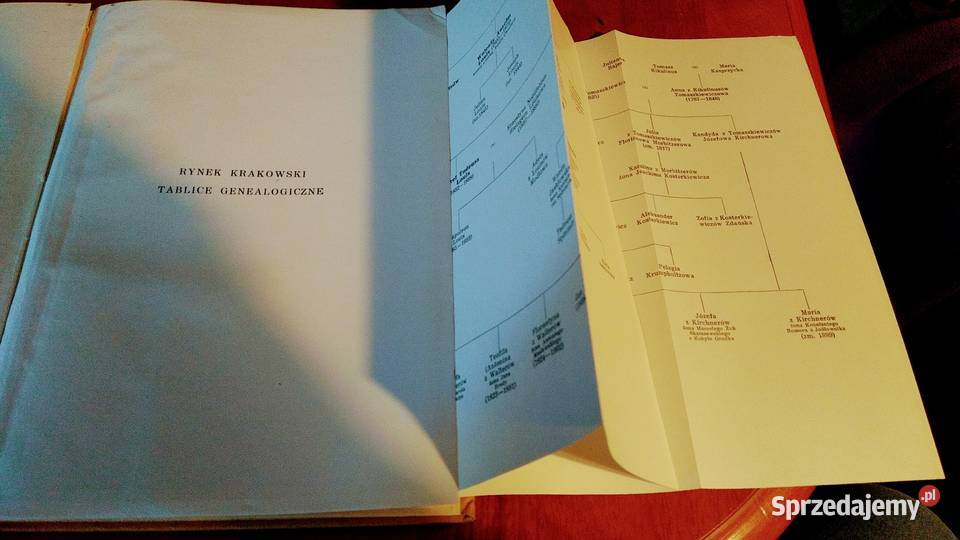 Pamiętniki krakowskiej rodziny Louisów 18311869 Gdańsk sprzedam