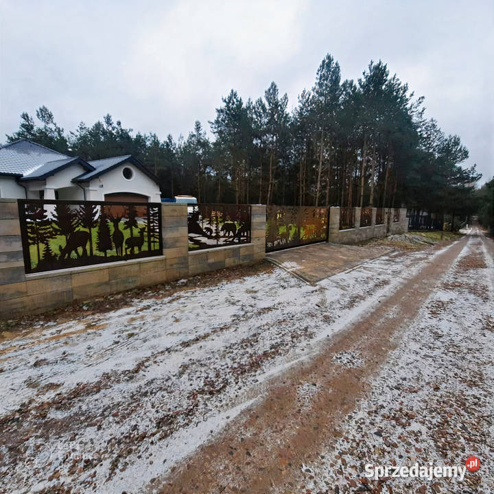 Ogrodzenie CORTEN korten panele aluminiowe Brama metal Poznań sprzedam