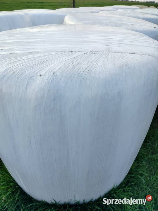 Sprzedam Sianokiszonke 691772042 Zadąbrowie-Rudunek