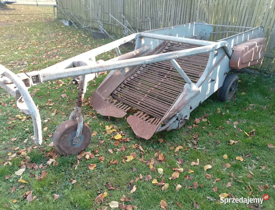 Kopaczka elewatorowe transport mi 2rzedowa Nowa Drożki