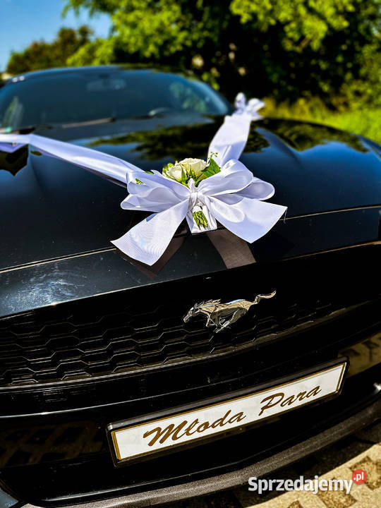 Auto Sportowy do Ślubu na wesele MUSTANG Premium Jelenia Góra