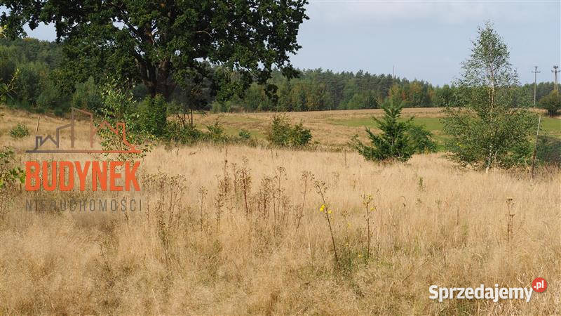 Działka rolna Karsino 9300m2 sprzedam