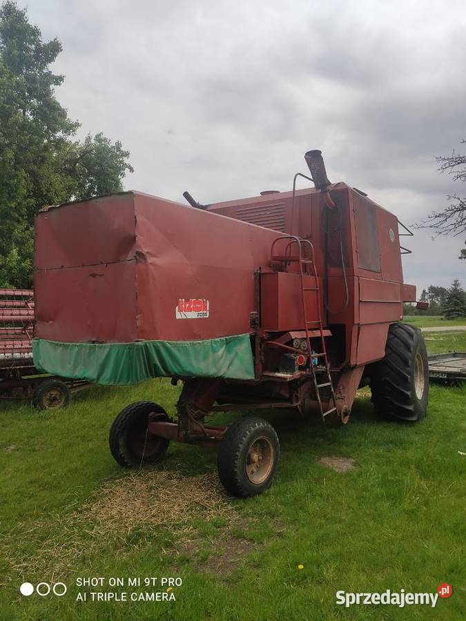 Bizon super z056 Bizon Romaszki