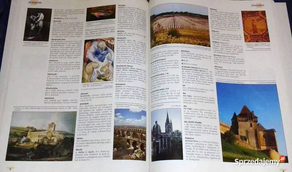 Encyklopedia Powszechna PWN Tom 1 Red B miękka