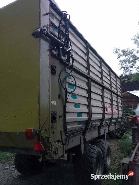 D50 i objętościowa bergmann Łowicz sprzedam