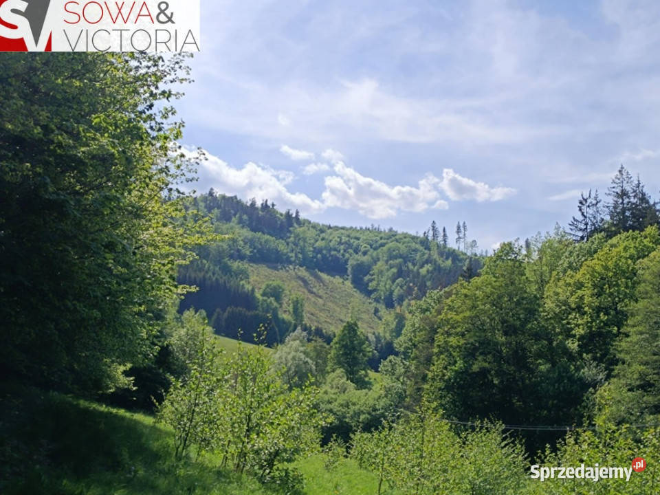 Działka lesie Michałkowa