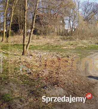 sprzedaży gruntu Szczecin handlowo-usługowa