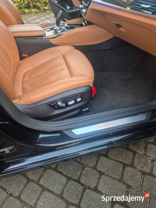 Na sprzedaż BMW 530 xDrive Luxury 100 000 do Włocławek