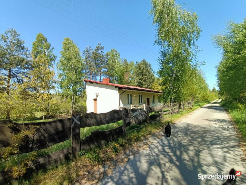 Dom na działce 4200 m2 w Gródku gm Policzna mazowieckie Gródek