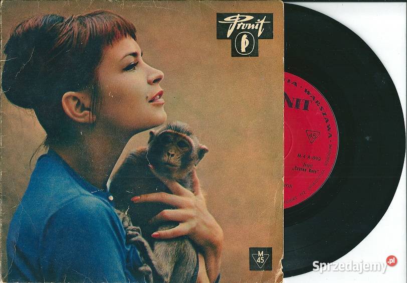 Czarne Koty Hiszpańska pchła Tijuana taxi płyta Łódź