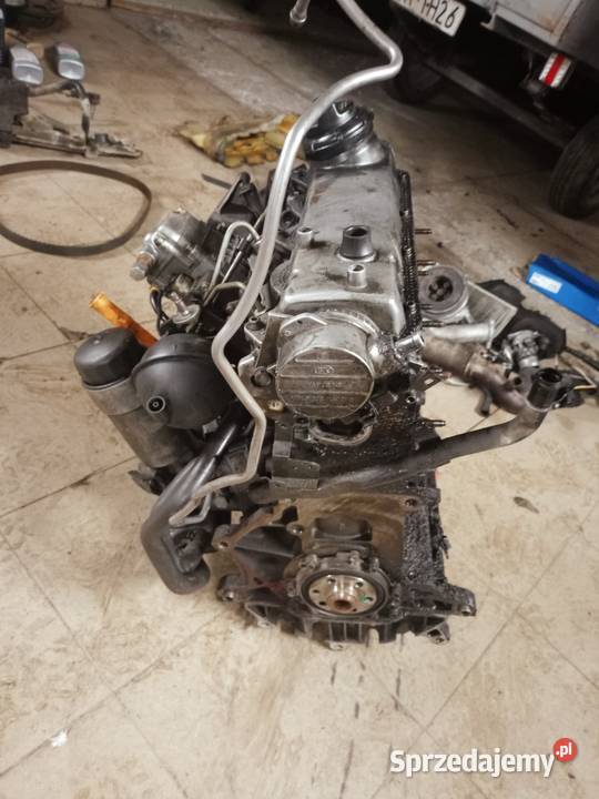 Silnik do audi a3 8l 19tdi golf 4 Pstrągowa sprzedam